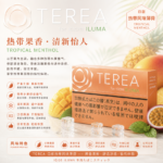 IQOS TEREA Tropical Menthol（熱帶水果)煙彈：圖片 2